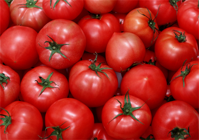 吃番茄有什么禁忌 番茄的禁忌食用方式