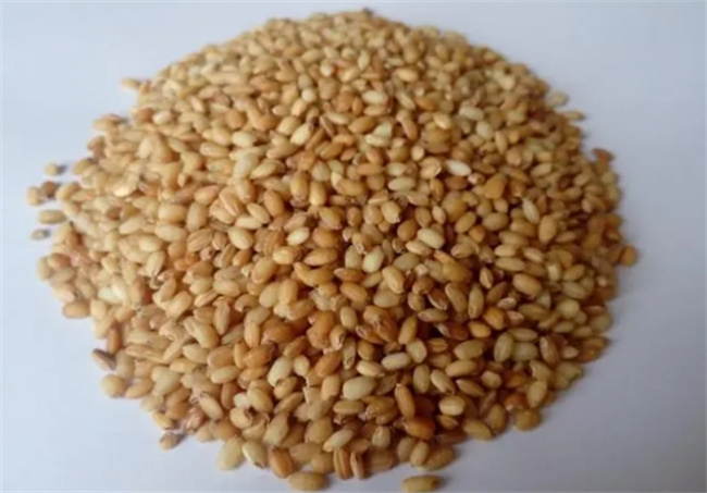 ​糙米是不是大米 糙米有哪几种