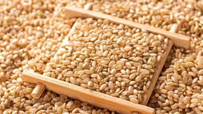​糙米是不是大米 糙米有哪几种图1