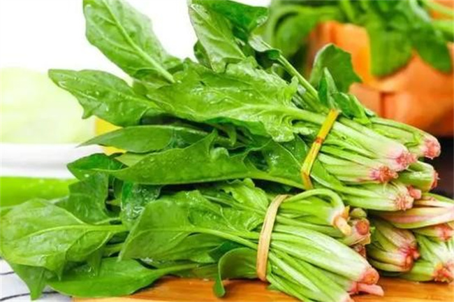 富含优质叶酸的五种蔬菜有哪些
