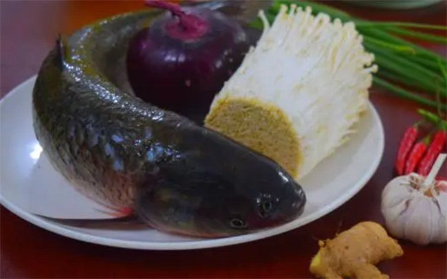 自从学会砂锅焖草鱼的做法 全家三天两头点名要吃 开胃又下饭
