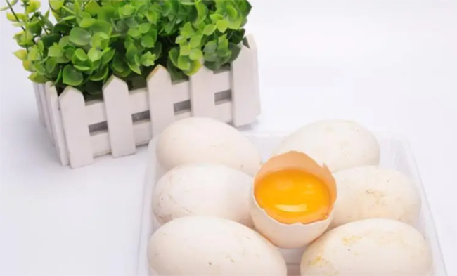 鹅蛋的营养价值 鹅蛋吃了有什么好处(鹅蛋的营养价值及功图1